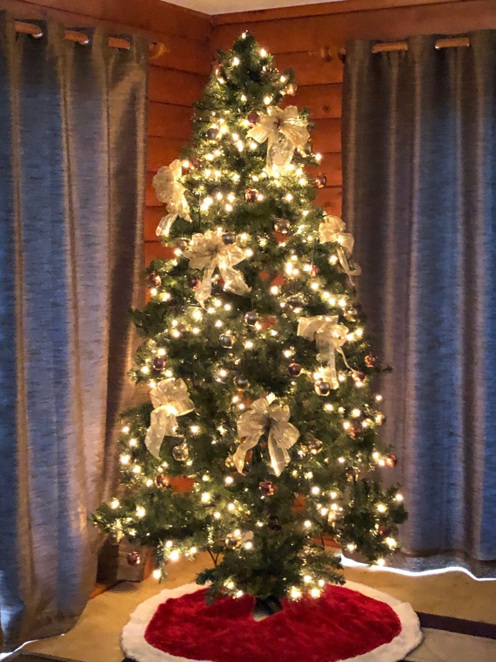 Christmas Tree at Qualicum Breeze Beach House