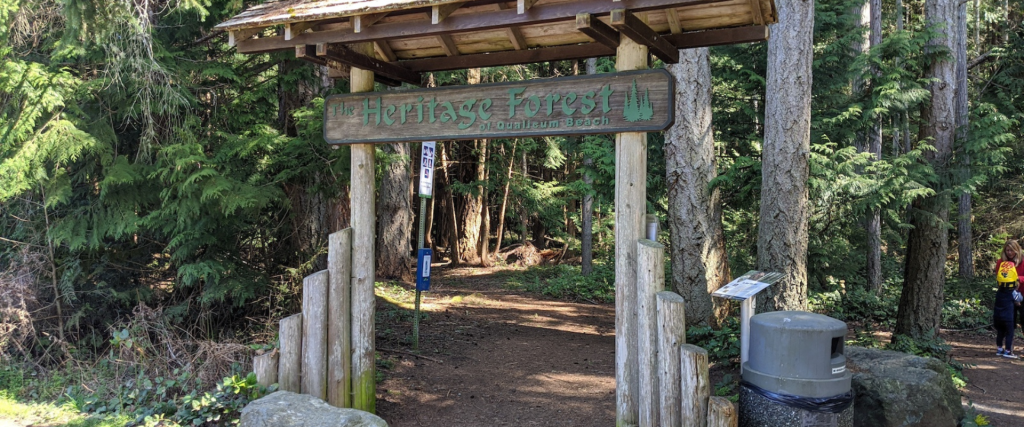 Wander the Heritage Forest