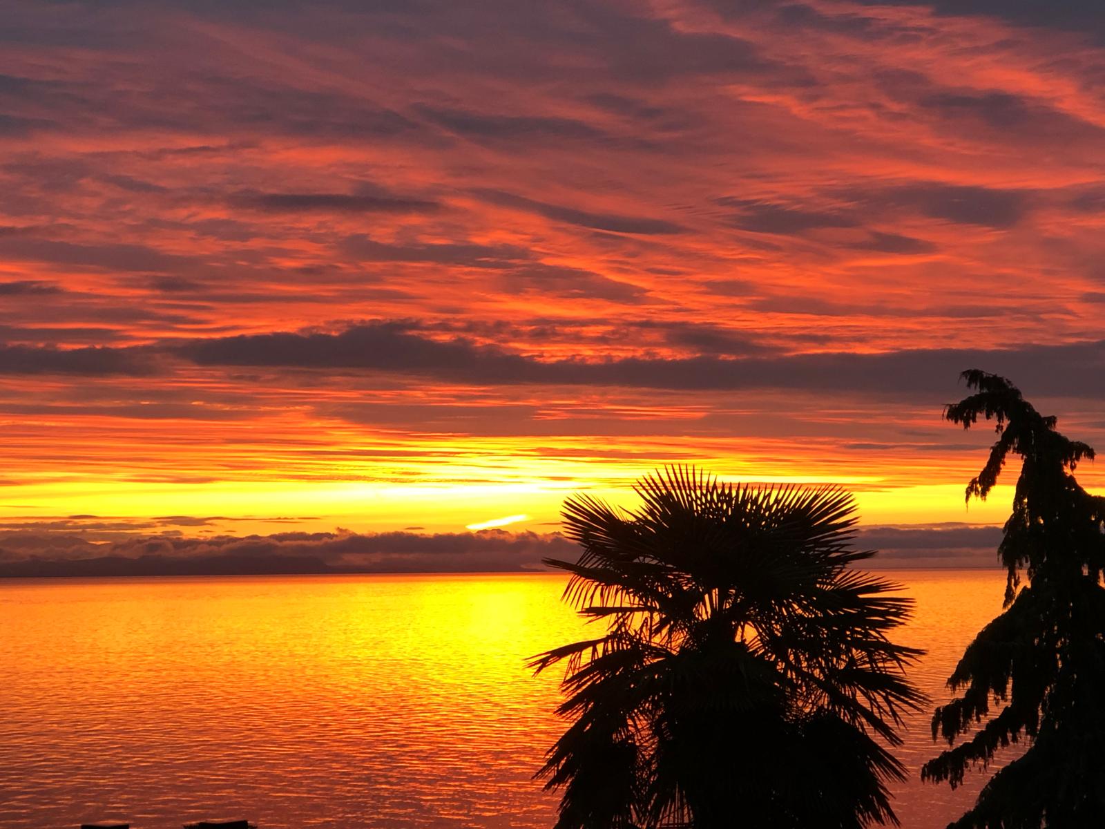 WhatsApp Image 2025 05 10 at 20.13.14 a67d8539