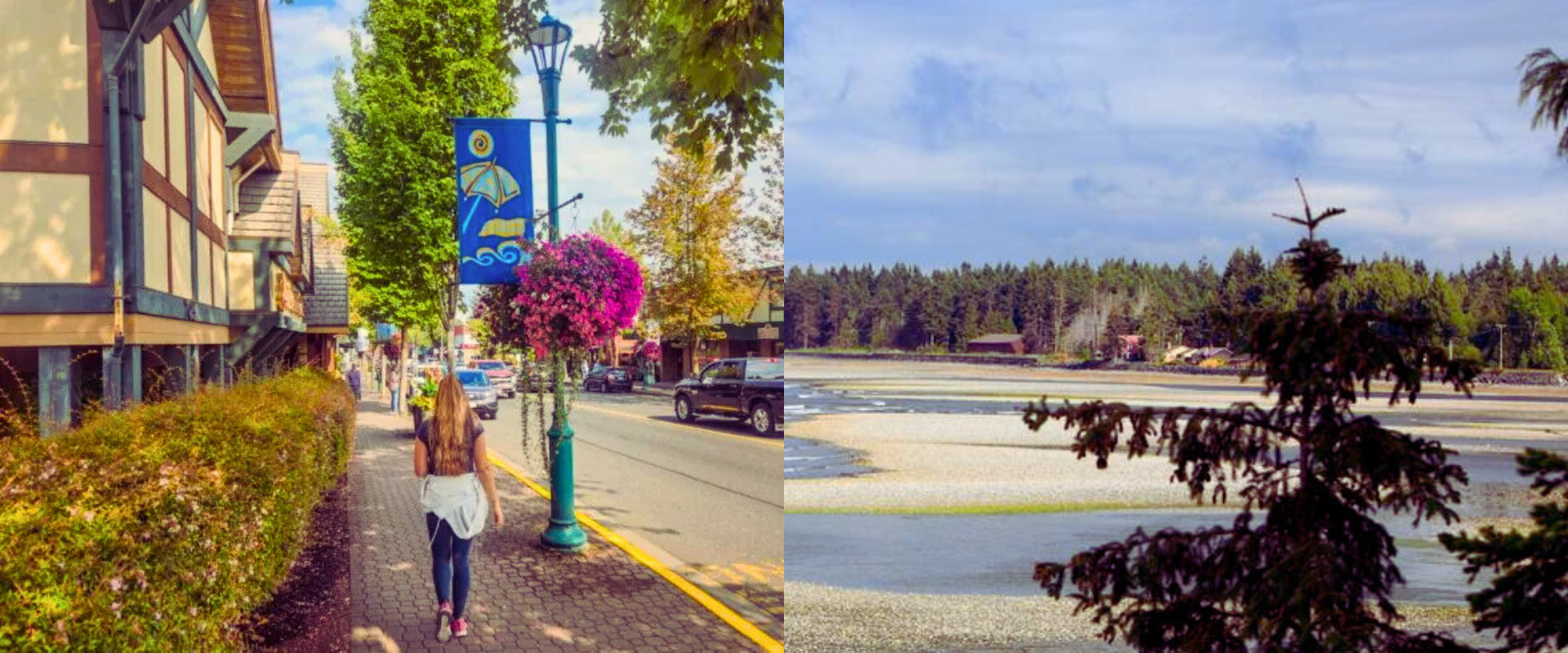 Untitled design (99)